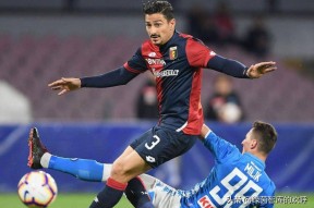 开云体育首页-马德里竞技训练开放日；加时末段手感冰凉引欢呼；法甲在即；控场能力受关注的简单介绍